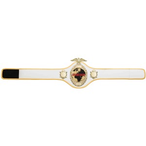 GOLD PRO288 CUSTOM CHAMPIONSHIP BELT  ***BEST SELLER***